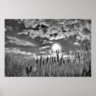 Augenblick der Ente Poster