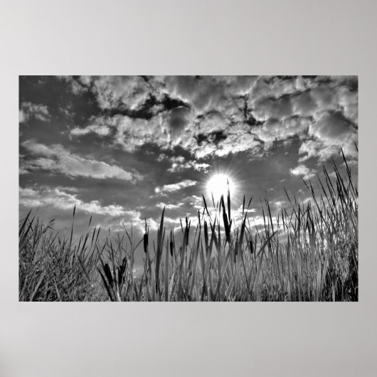 Augenblick der Ente Poster (Vorne)