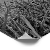 Augenblick der Ente Poster (Ecke)