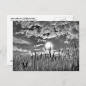 Augenblick der Ente Postkarte (Vorne/Hinten)