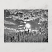 Augenblick der Ente Postkarte (Vorderseite)