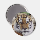 Augenblick Magnet (Vorderseite/Rückseite)