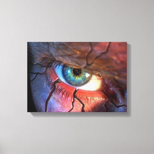 Augenbrauen Leinwanddruck (Vorderseite)