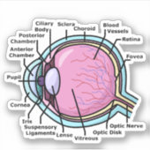 Augendiagramm Aufkleber (Vorderseite)