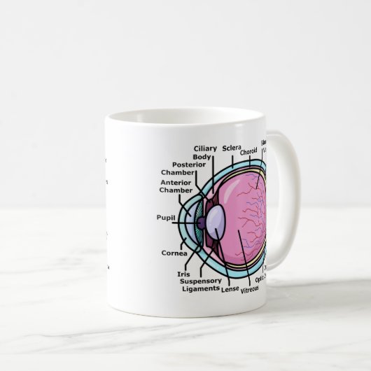 Augendiagramm Kaffeetasse (VorderseiteRechts)