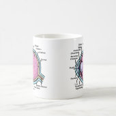 Augendiagramm Kaffeetasse (Mittel)