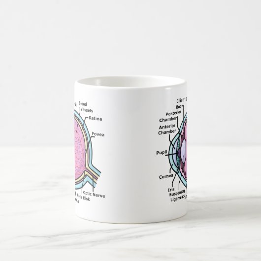 Augendiagramm Kaffeetasse (Mittel)