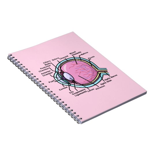 Augendiagramm Notizblock (Rechte Seite)