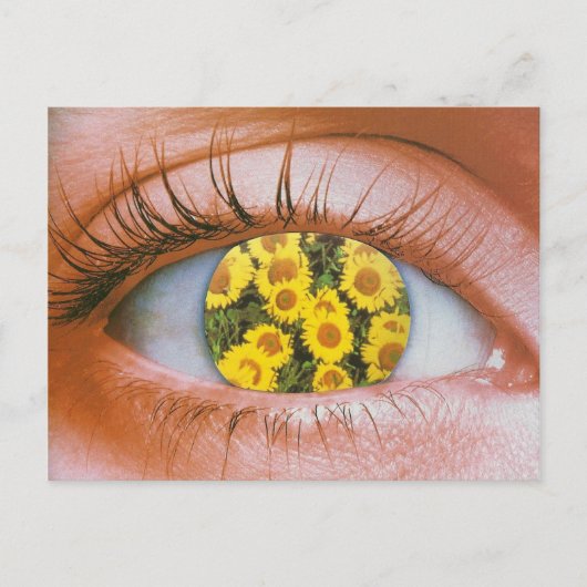 Augenerblüte Postkarte (Vorderseite)