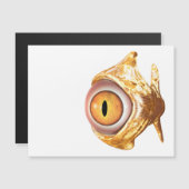 Augenfisch Magnetkarte (Vorne/Hinten)