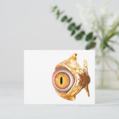Augenfisch Postkarte (Stehend Vorderseite)
