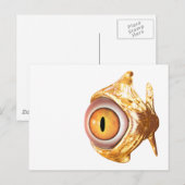 Augenfisch Postkarte (Vorne/Hinten)