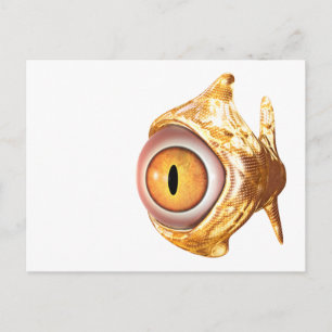 Augenfisch Postkarte