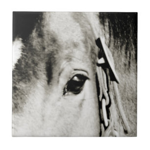 Augenfotografie Fliese