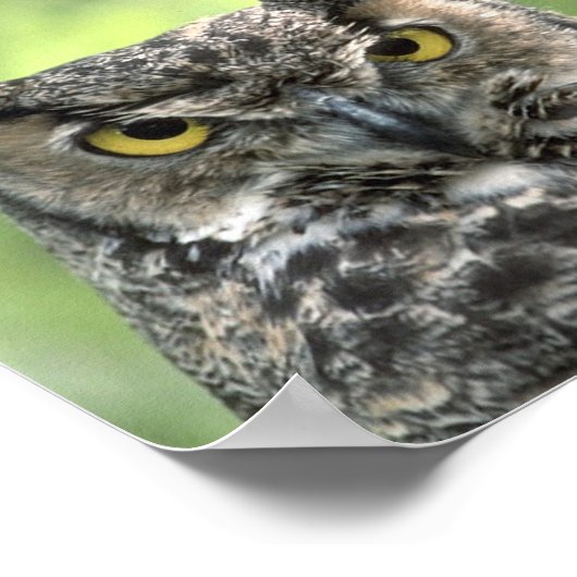 Augenfotografie Poster (Ecke)