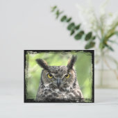 Augenfotografie Postkarte (Stehend Vorderseite)