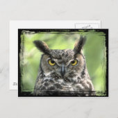 Augenfotografie Postkarte (Vorne/Hinten)