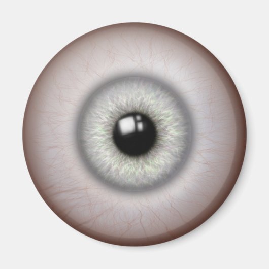 Augenlidmagnet Magnet (Vorne)