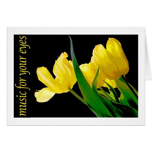 Augenmusik - Blume (Vorderseite (Horizontal))