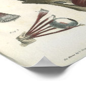 Augenmuskeln und Schädelanatomie drucken Poster (Ecke)