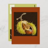 Augenpflaster Postkarte (Vorne/Hinten)