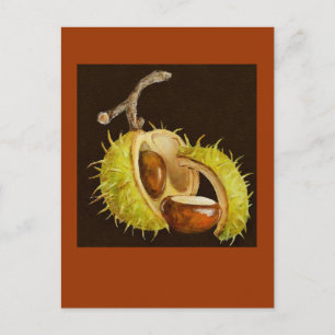 Augenpflaster Postkarte