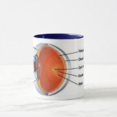 Augenschale II Tasse (Zentrum)