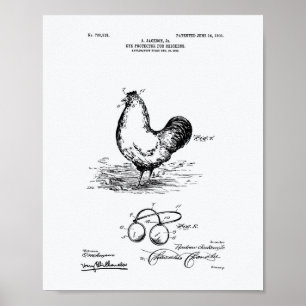 Augenschutz Hühner 1903 Patent Kunst Weißpapier Poster