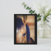 Augenspion - Postkarte (Stehend Vorderseite)