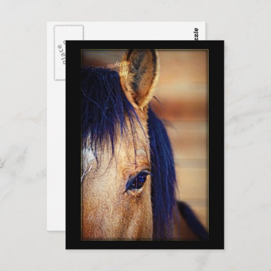 Augenspion - Postkarte (Vorne/Hinten)