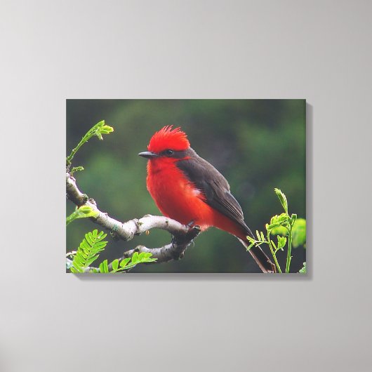 Augenstich geätzte Leinwand drucksvoll (Vorderseite)