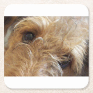 Augenterrier Augen Rechteckiger Pappuntersetzer