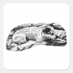 Augenweide mit federnden Tonen Quadratischer Aufkleber