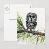 Augenweide-Postkarte Postkarte (Vorne/Hinten)