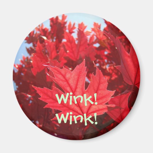 Augenzwinkern! Wink! Magnet Geschenk Roter Herbst (Vorne)