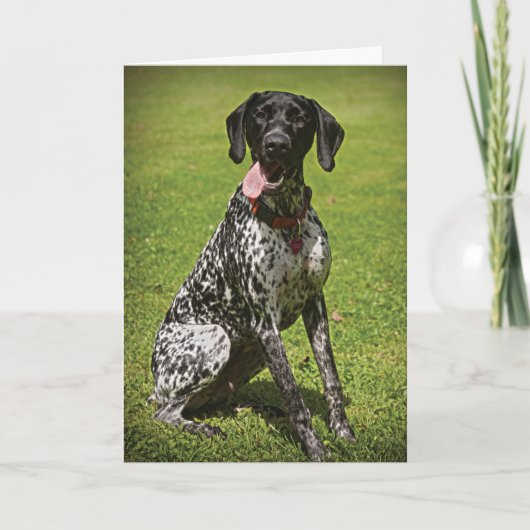 Augie danke Karte (Vorderseite)