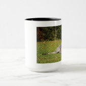 Augie Tasse (Zentrum)