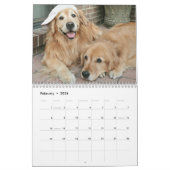 Augie u. das golden retriever-Kalender 2013 des Ti Kalender (Feb 2026)