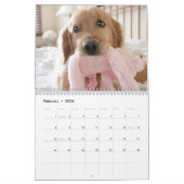 Augie und das golden retriever-Hund 2018 des Ti Kalender (Feb 2026)