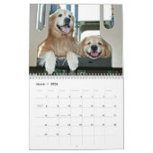 Augie und des Ti golden retriever 2017 Kalender (Mär 2026)
