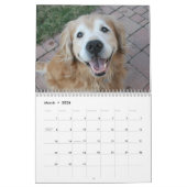 Augie und Ti's Golden Retriever Hund 2016 Kalender (Mär 2026)