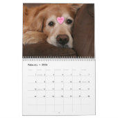 Augie und Ti's Golden Retriever Hund 2016 Kalender (Feb 2026)