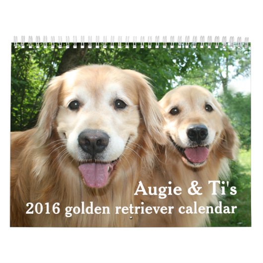 Augie und Ti's Golden Retriever Hund 2016 Kalender (Titelbild)