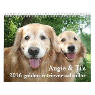 Augie und Ti's Golden Retriever Hund 2016 Kalender