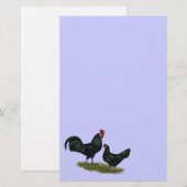 Augsburger Chickens Briefpapier (Vorne/Hinten)