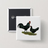 Augsburger Chickens Button (Vorne & Hinten)