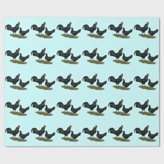 Augsburger Chickens Geschenkpapier (Flach)