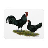 Augsburger Chickens Magnet (Horizontal)