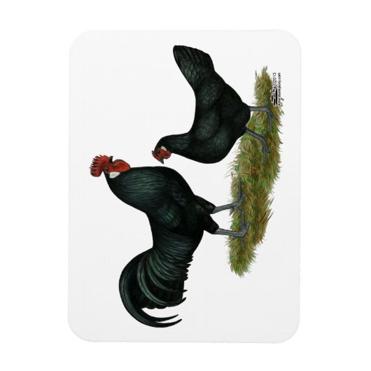 Augsburger Chickens Magnet (Vertikal)