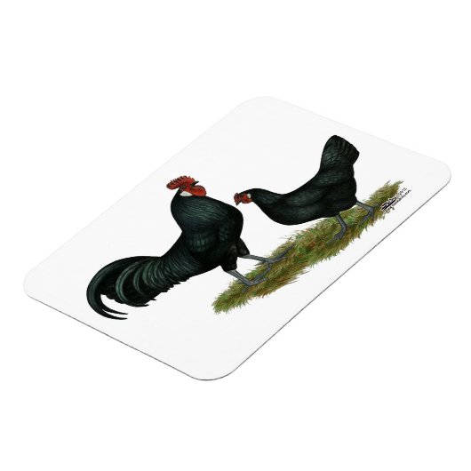 Augsburger Chickens Magnet (Linke Seite)